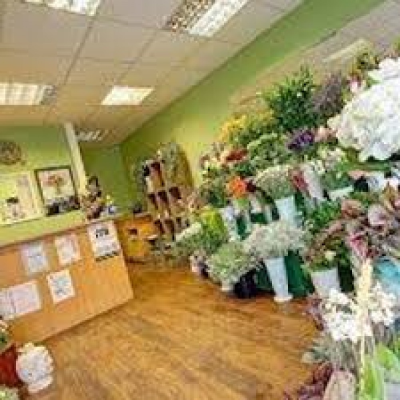garden shop