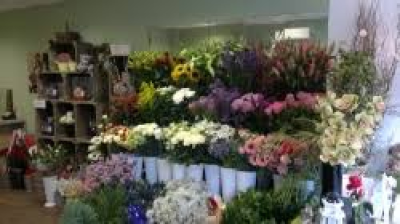 garden shop