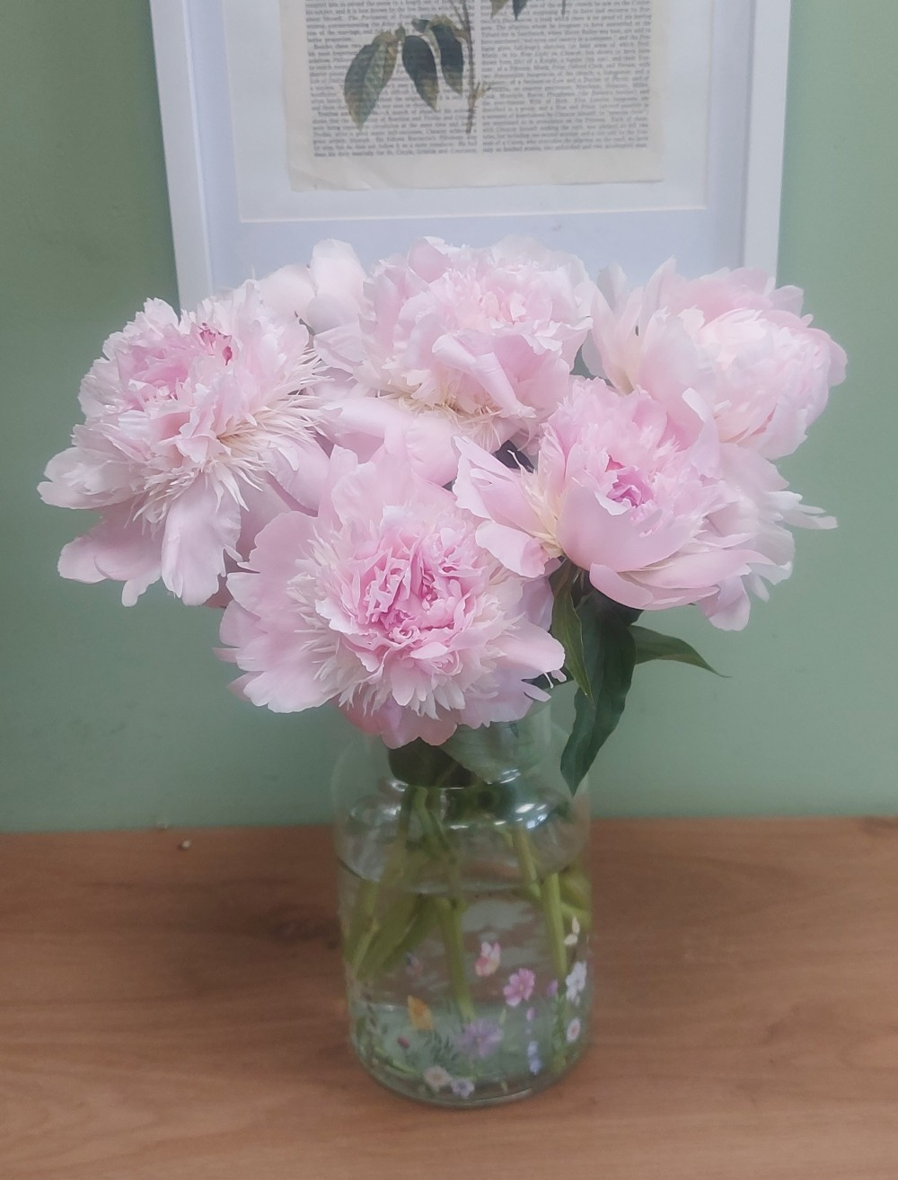 Simply Peonies (vase not included)
